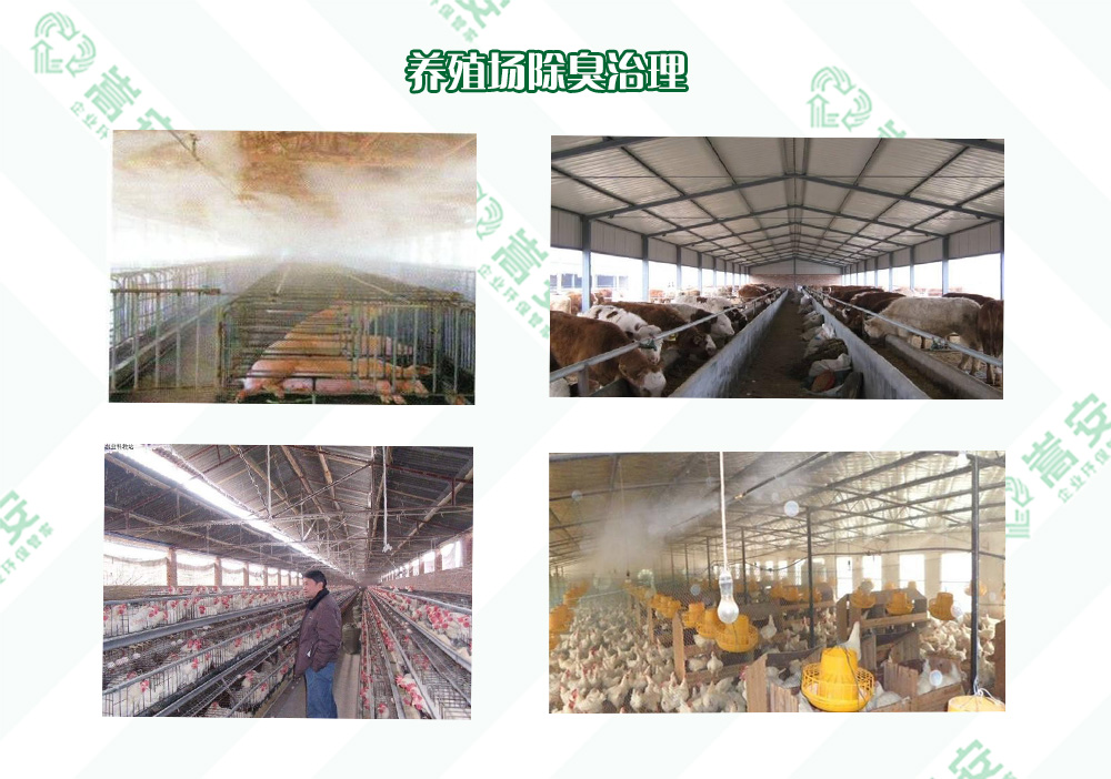 河南除臭劑廠家如何有效解決養(yǎng)殖場異味問題？專業(yè)指南來了