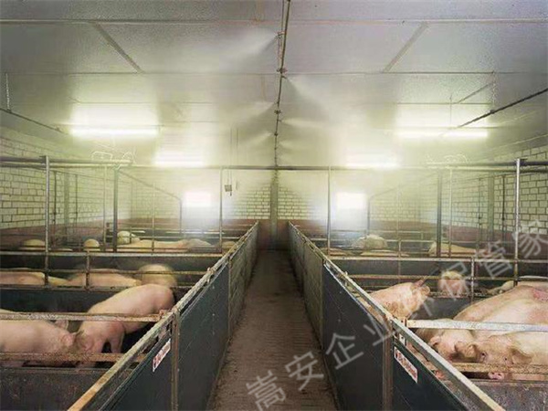 養(yǎng)殖場如何除臭可以降低禽畜患病風(fēng)險，生物除臭劑效果不錯